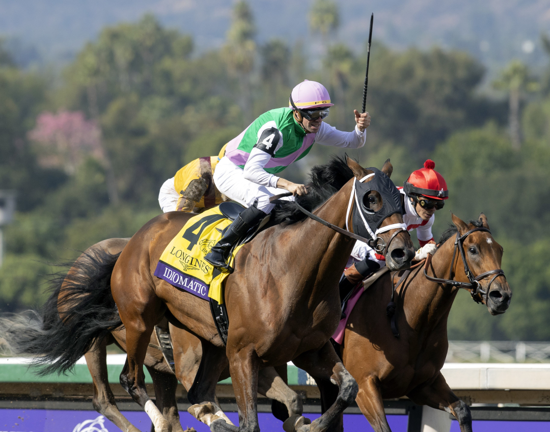 Breeders' Cup pinpoints probables for Horse of the Year, Eclipse Awards